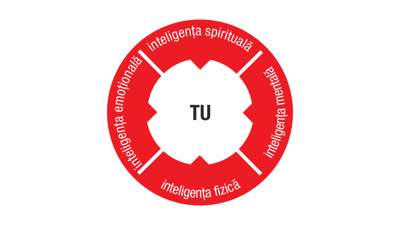 VIDEO: Te bazezi prea mult pe una dintre cele 4 inteligenţe?