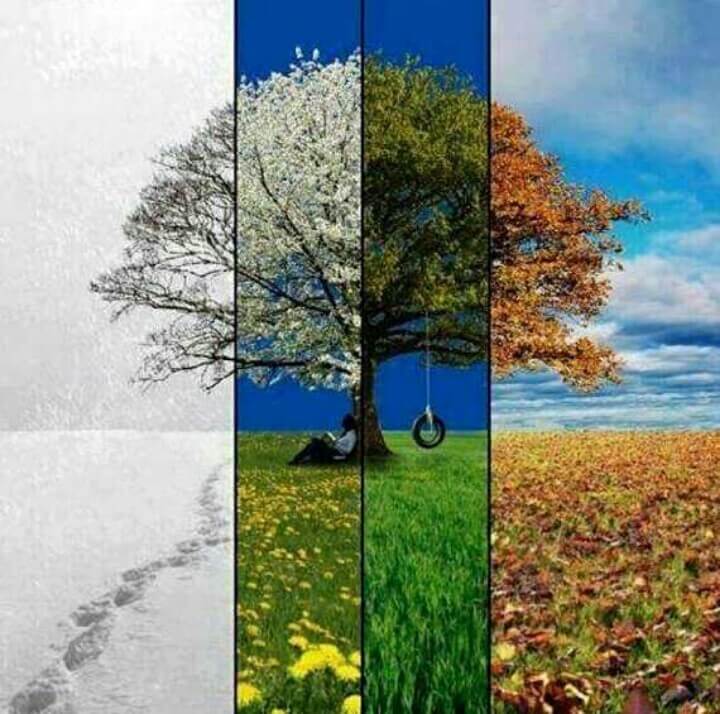Nu pierde timpul când se schimbă anotimpul